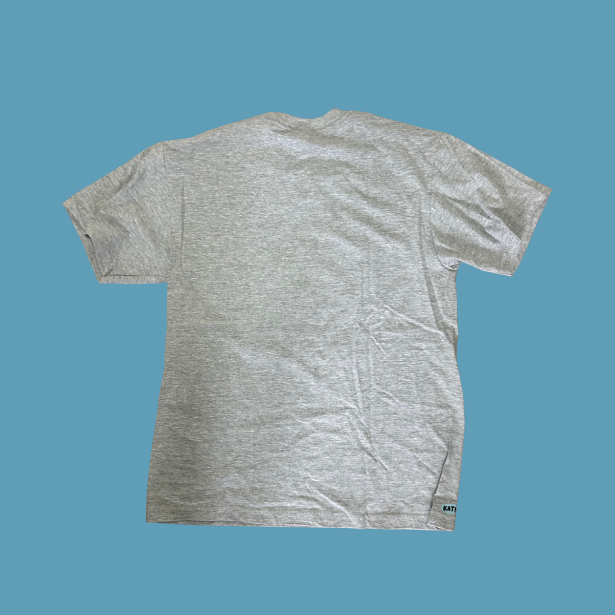 This could be us but i'm afraid of horses - T shirt