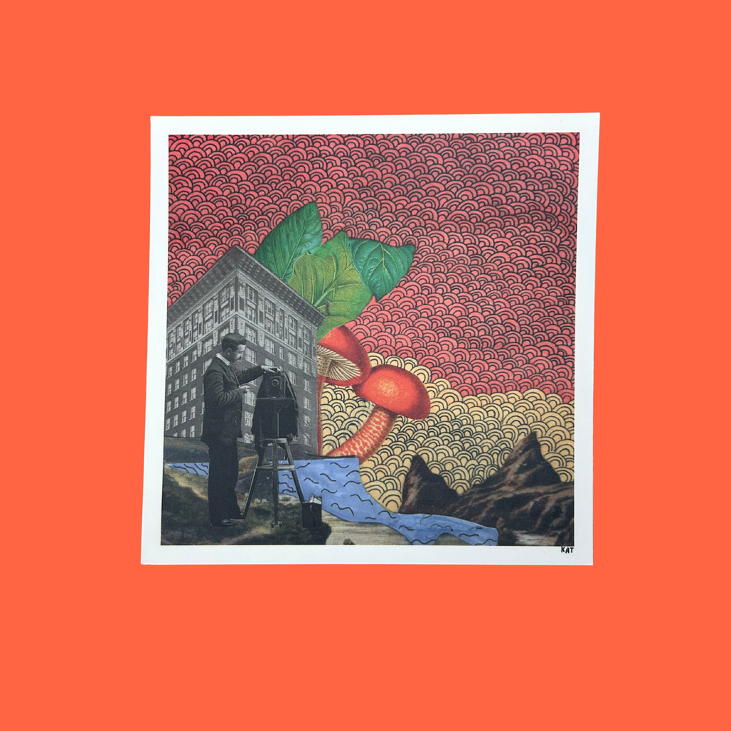 Postcard collection - all!