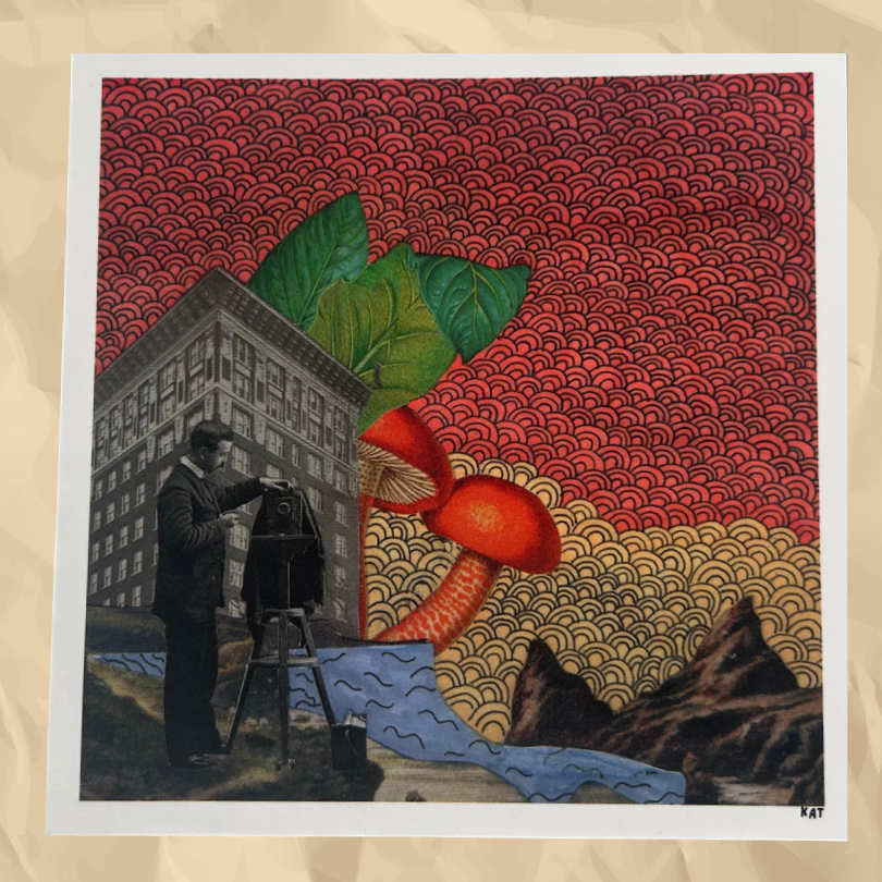 Postcard Shrooms